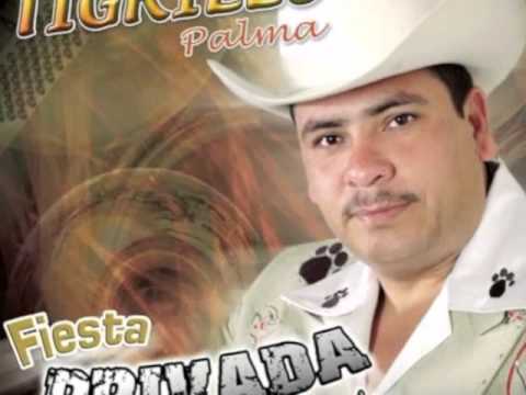 el tigrillo palma- el amor de un pobre