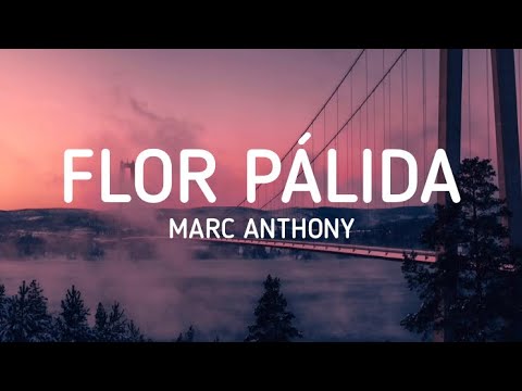 Marc Anthony - Flor Pálida (Letra / Lyrics)