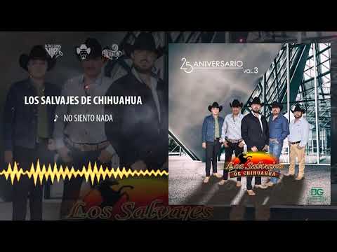 Los Salvajes de Chihuahua - No Siento Nada / 2020