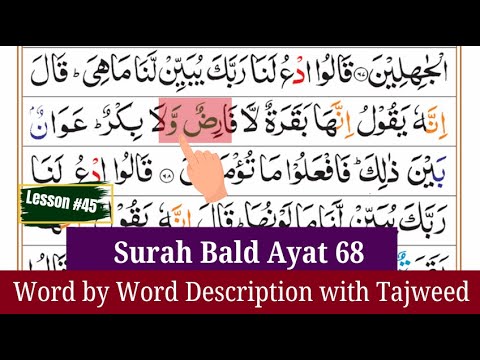 Surah Baqarah ayah#68 Lesson #45 word-by-word with Tajweed #leransurahbaqrah #surahbaqarahlesson