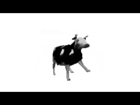 vaca dançando ao som de musica polonesa so que e uma hora