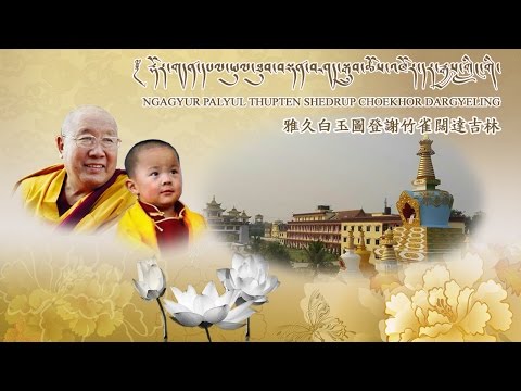 菩提迦耶-雅久白玉圖登謝竹雀闊達吉林 Ngagyur Palyul Thupten Shedrup Choekhor Dargyeling in Bodh Gaya, India.