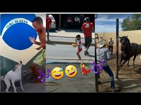 Quiero sentir tu cuerpo juntito al mío💃🎶 | Las más divertidas recopilaciones