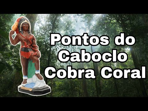 PONTOS DO CABOCLO COBRA CORAL (COM LETRA) || RICK DE OXUM