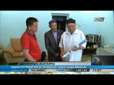 Түркістандық шопанның ойлап тапқан ерекше «таяғы»