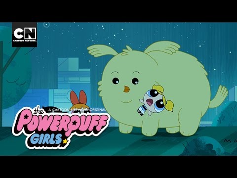 The Powerpuff Girls | Cheepy Returns Home | Cartoon Network