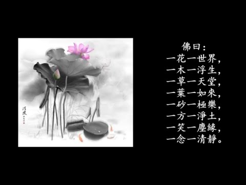 齊豫《蓮花處處開》 一花一淨土 一土一如來... ♪♫*•